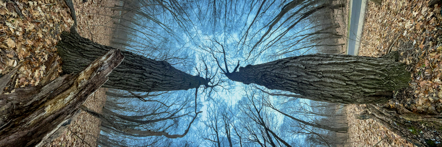 Binary Horizons