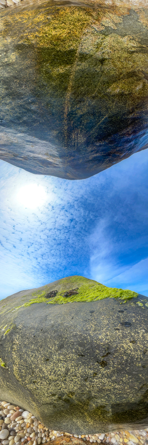 Binary Horizons