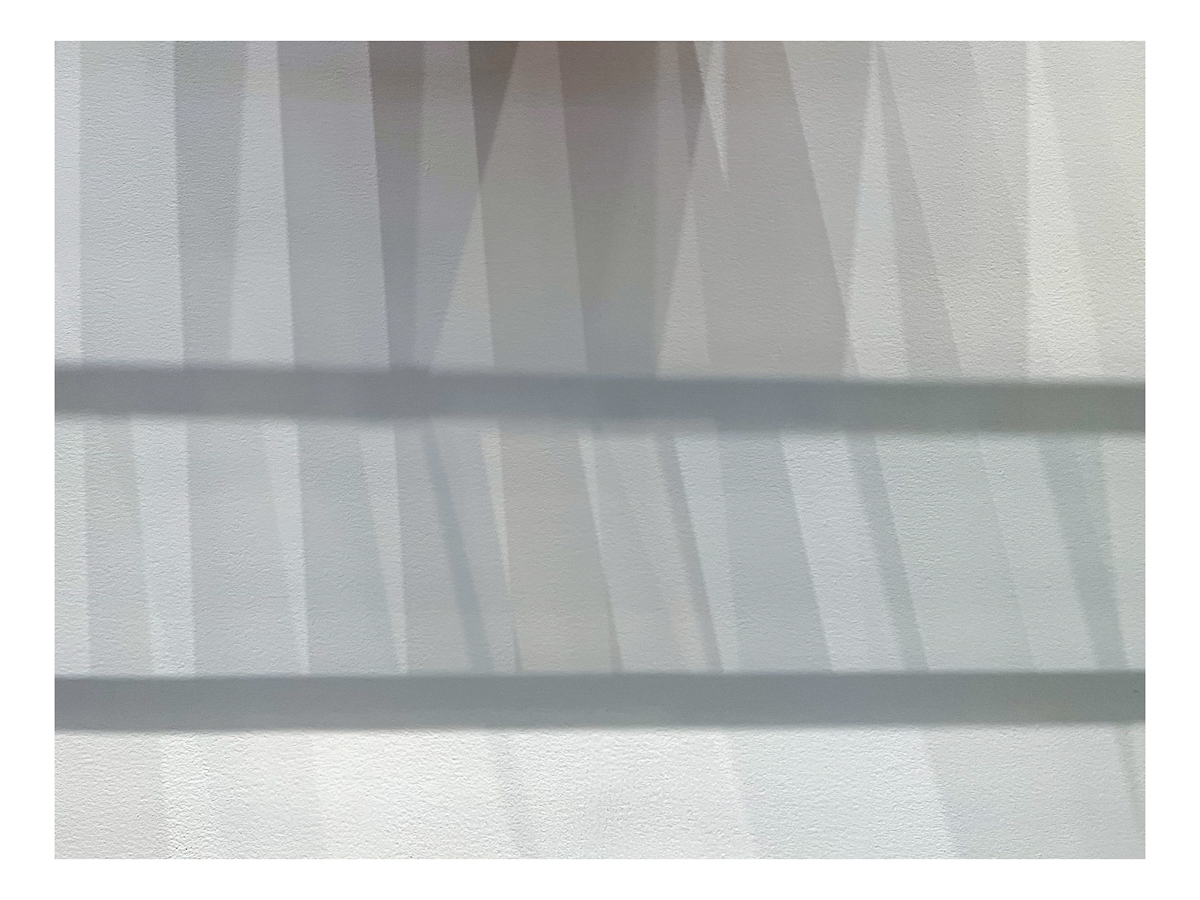 Skimming the Surface<br>Ellsworth Kelly @ MOMA - 2023