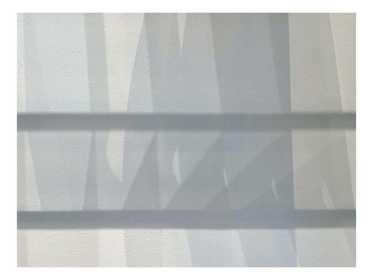 Skimming the Surface<br>Ellsworth Kelly @ MOMA - 2023