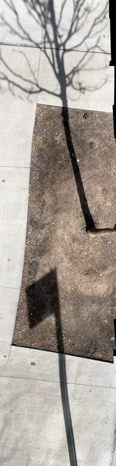 Lambent Sidewalk Encounters