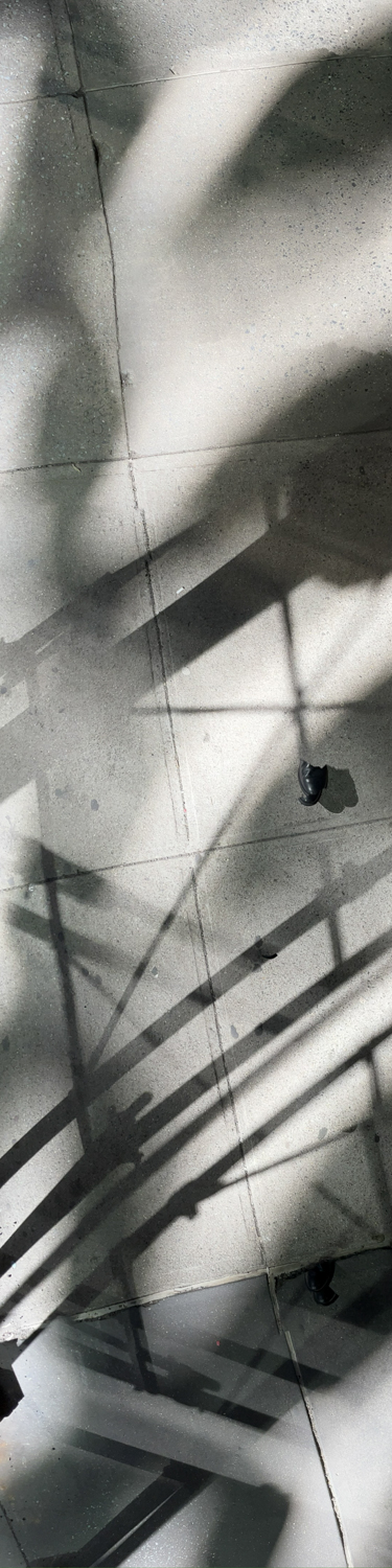 Lambent Sidewalk Encounters