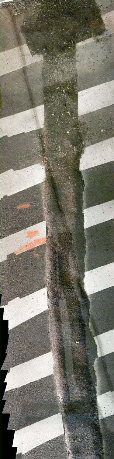Lambent Sidewalk Encounters