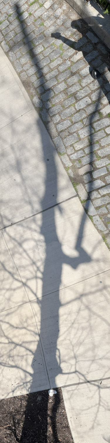 Lambent Sidewalk Encounters