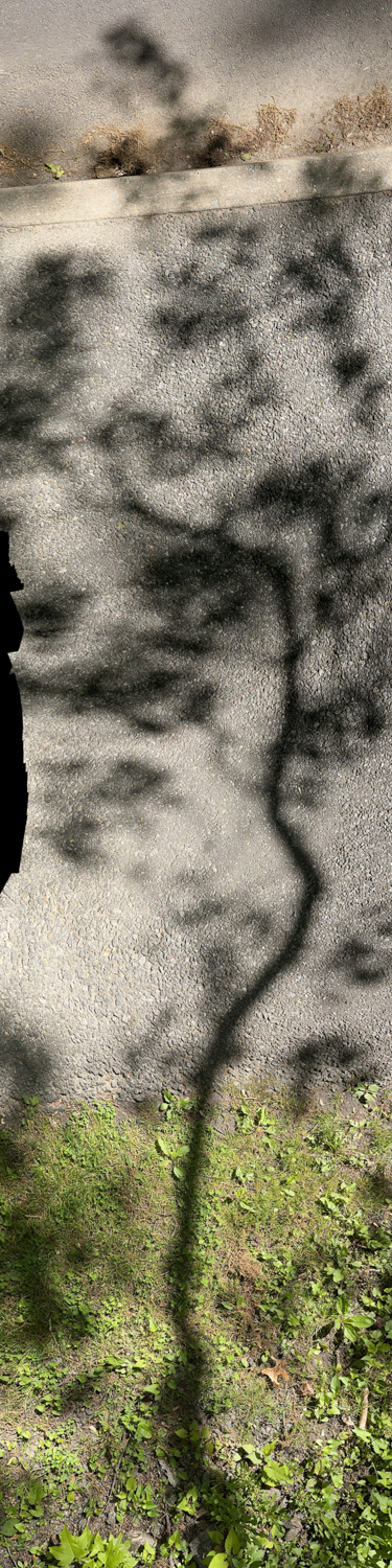 Lambent Sidewalk Encounters