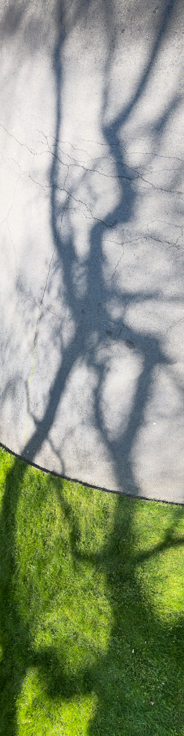 Lambent Sidewalk Encounters
