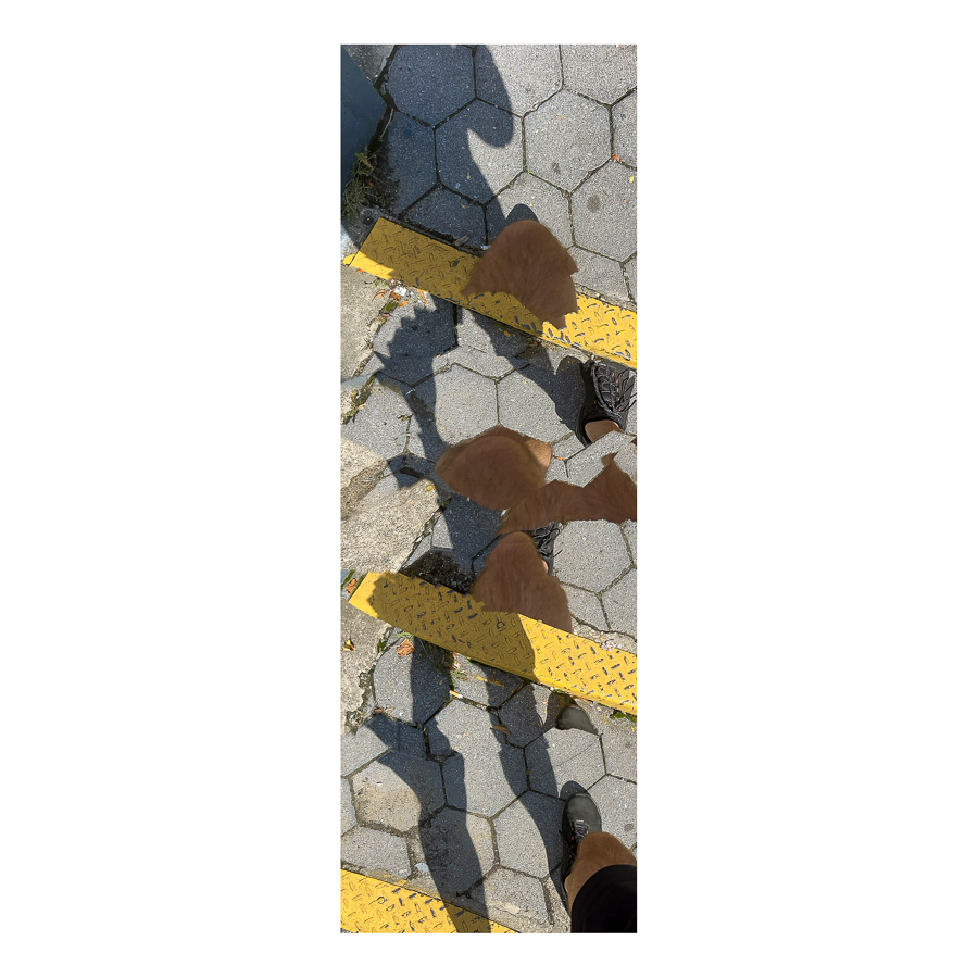 Stepmaster Series