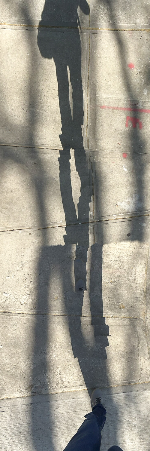 Stepmaster