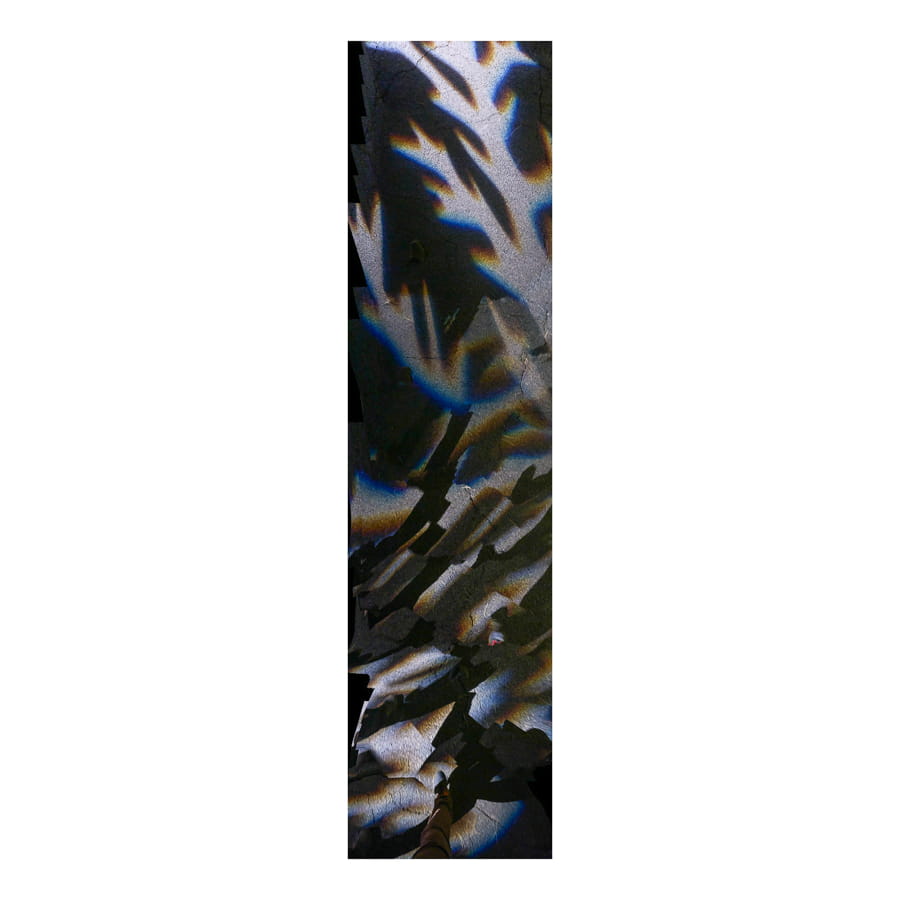 Stepmaster<br>@ New York Botanical Garden - 2023