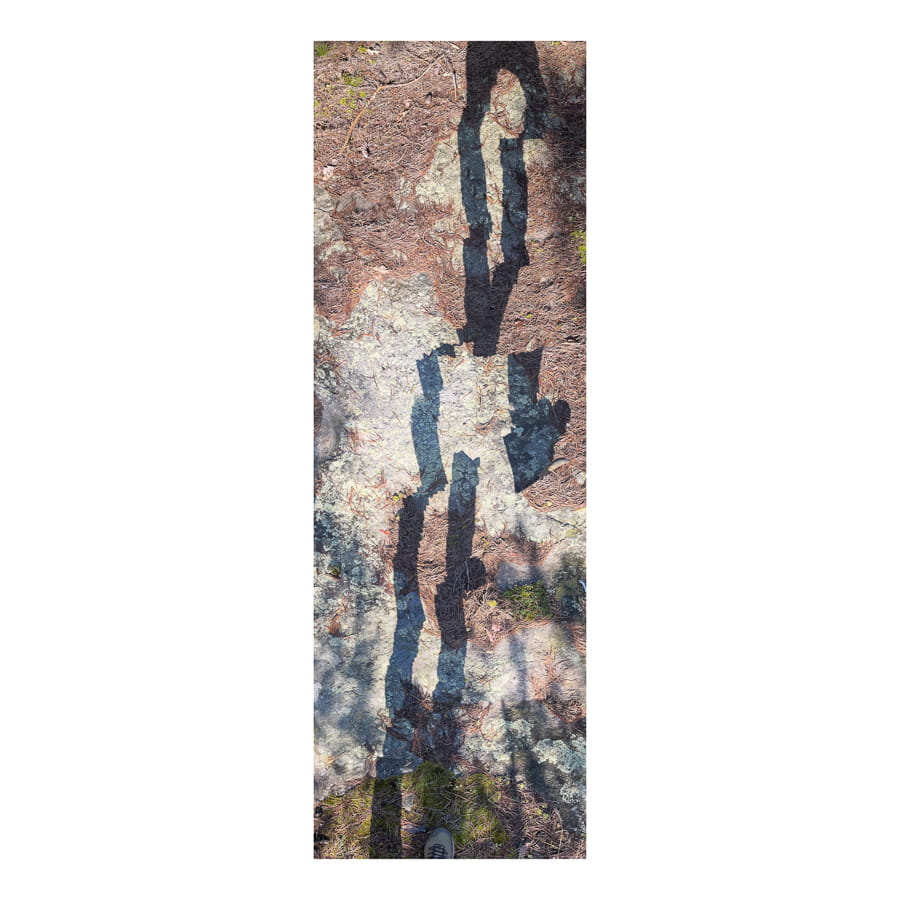 Stepmaster<br>in Minnewaska State Park, NY - 2023