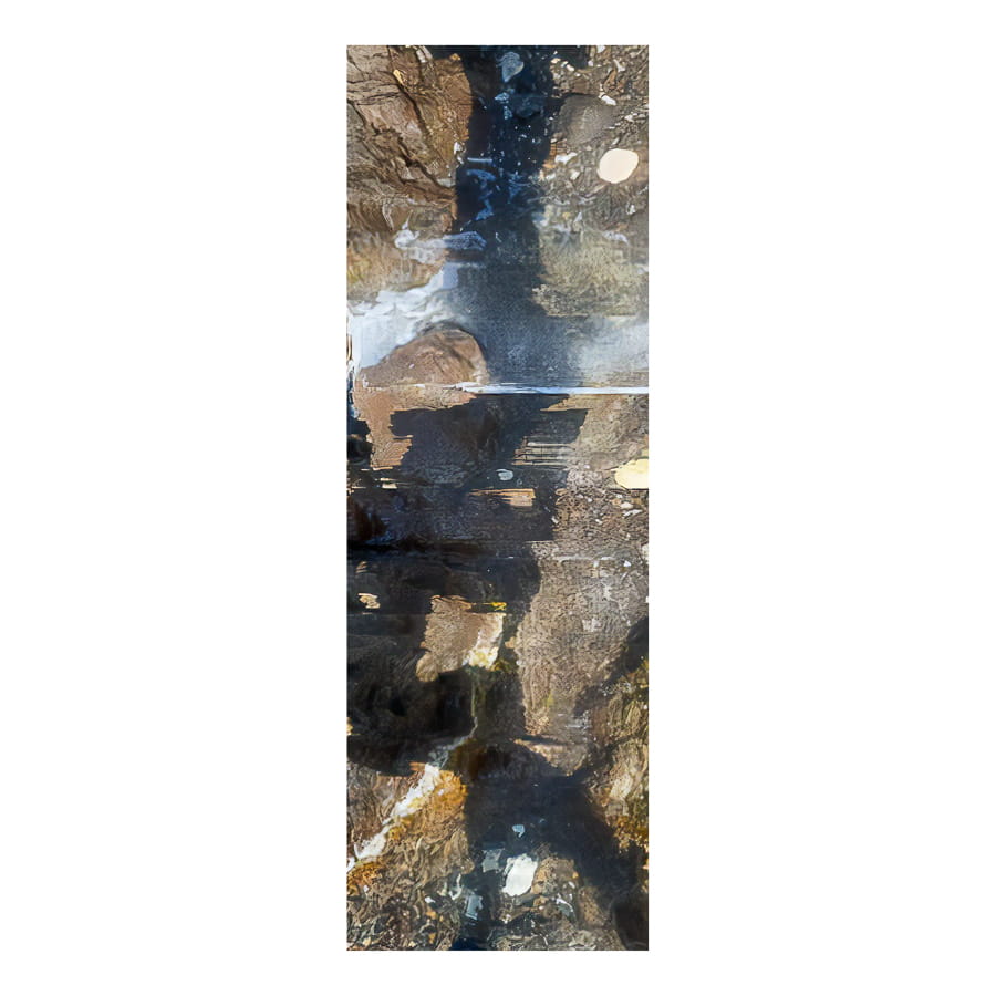 Stepmaster<br>in Culebra, PR - 2024