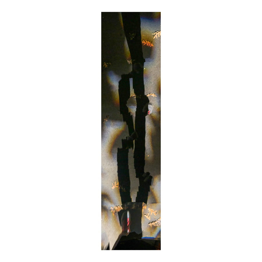 Stepmaster<br>@ New York Botanical Garden - 2023